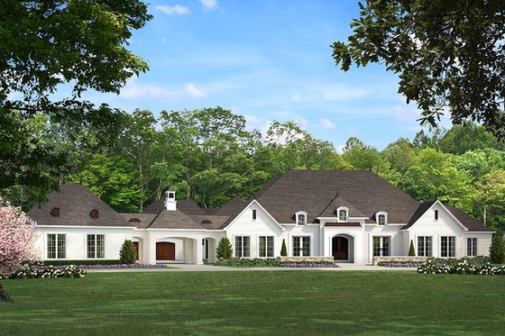 Large 1 Story Plans