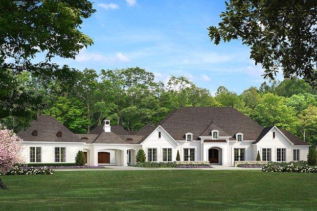 Large 1 Story Plans
